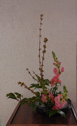 三日市公民館クラブ「華道」の作品