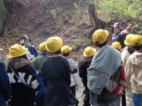 烏帽子形城跡里山保全活動2