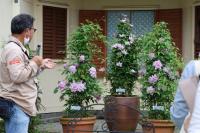 クレマチス講習会5月