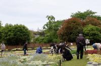 大花壇抜き取りイベント