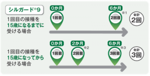 シルガードのスケジュール