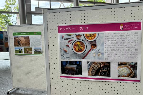 ハンガリー展示