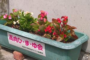高向公民館　花壇