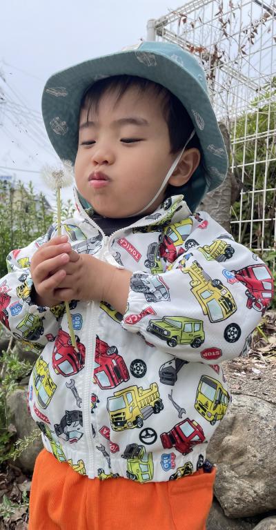 たんぽぽの綿毛をふぅーっ!