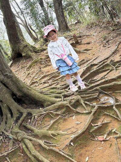 迷路みたい