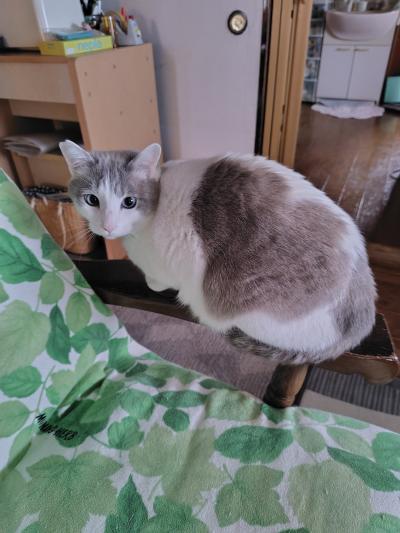 ハッピーな気分?