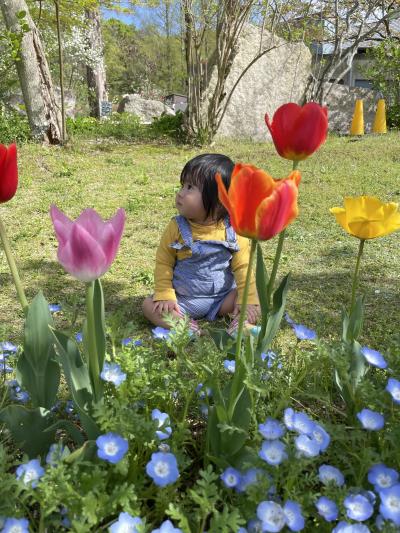 花の文化園へピクニック