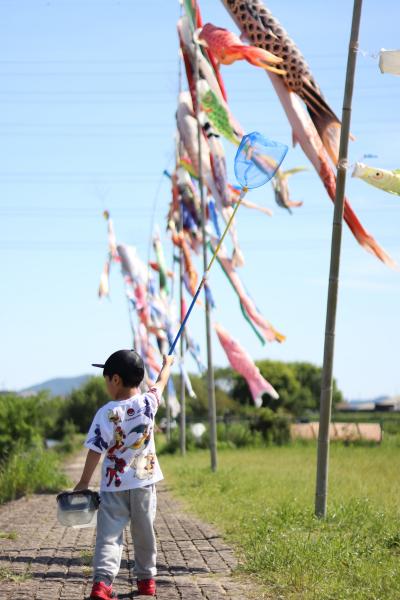 こどもの日