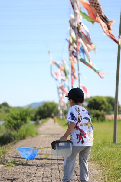 こどもの日2
