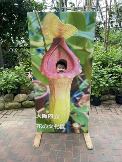 食中植物にへ〜んしん!