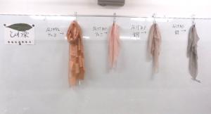 「はじめての自然の染め～ビワの枝葉でシルクのストールを素敵に染めます～」画像2
