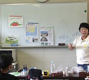 産地が色々な石