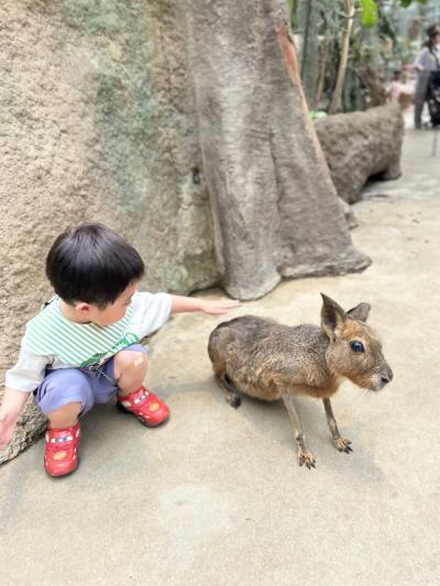 そ〜っと触らせてね