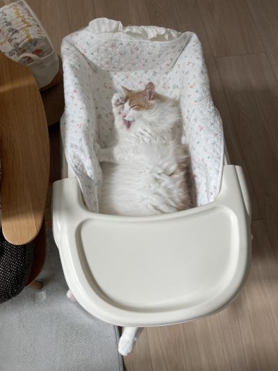 至福のひと時