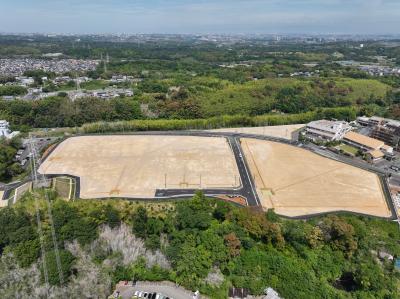 全体