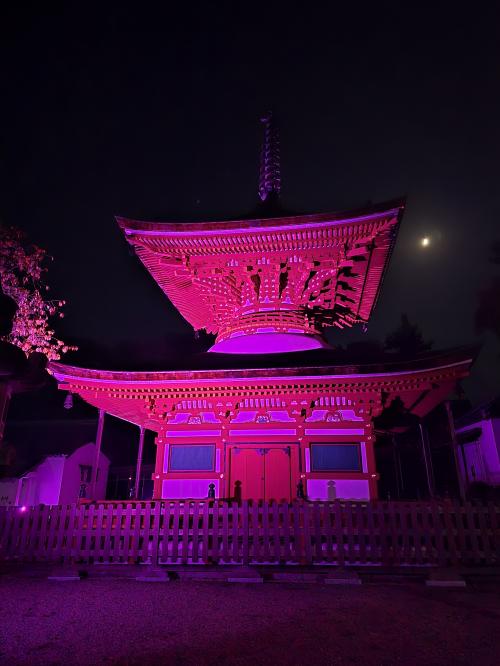 天野山金剛寺多宝塔ピンクリボンライトアップ③