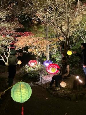 竹あかりと紅葉のライトアップ