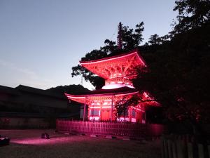 天野山金剛寺多宝塔ライトアップ