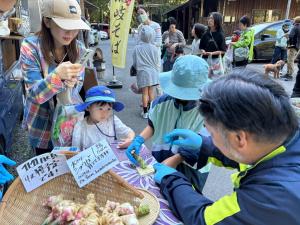 ワサビのすりおろし体験