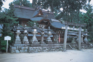 市指定文化財　高向神社本殿の画像