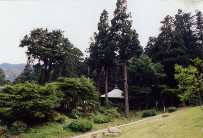 府指定文化財　岩湧山の画像