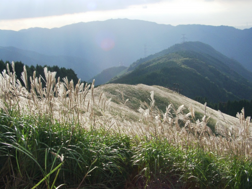 岩湧山山頂