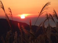 山頂からの夕日