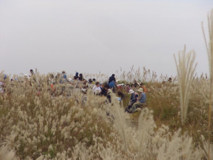 11月の山頂の様子