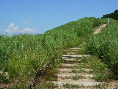 夏の山頂