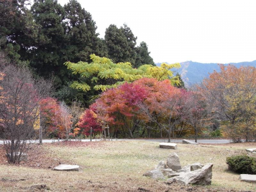 おべんとう広場