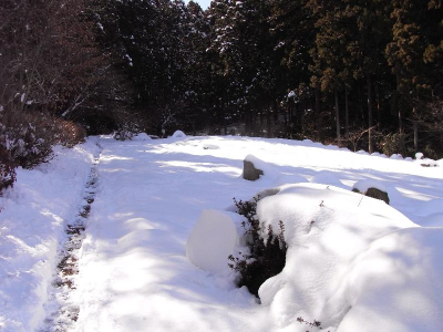 冬の広場