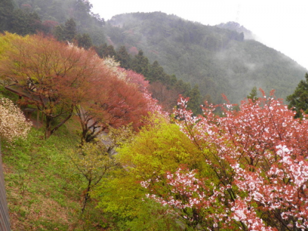 春の景色