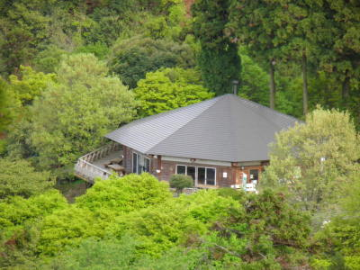 緑の中の四季彩館