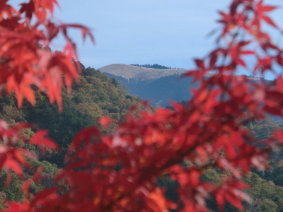 晩秋の陽気に誘われて