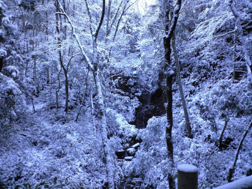 いわわきの道の雪景色