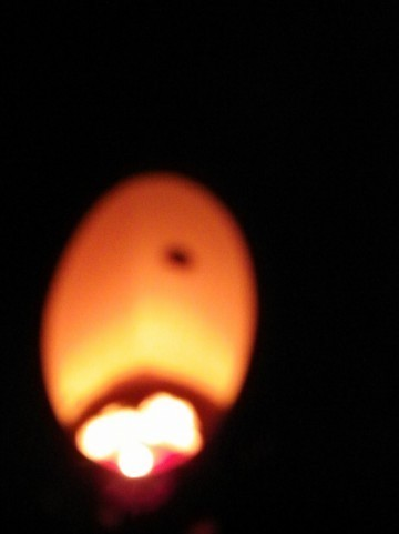 竹灯篭の火を灯しました。