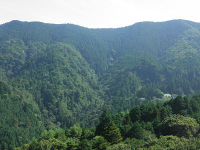 岩湧の森遠景