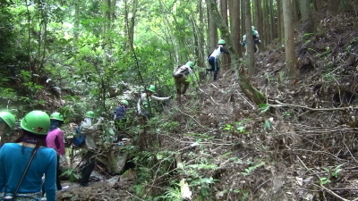 土手に上がって迂回します