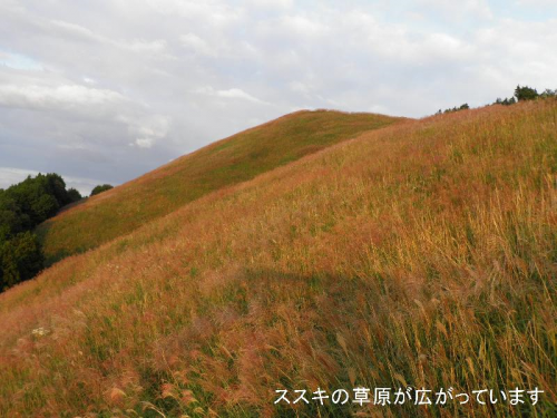 ９月の岩湧山頂