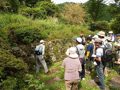 四季彩館前の石垣で観察