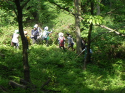 岩湧の森定点観察会の風景