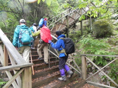 森の回廊の階段を登ります