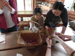 八重桜の花摘み