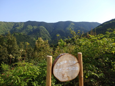 すぎこだち看板