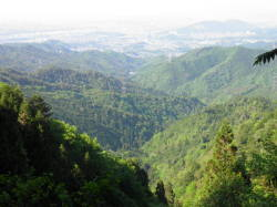 展望デッキからの風景