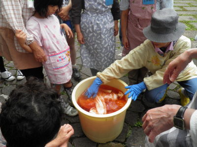 しぼりの準備