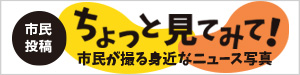 ちょっと見てみて！市民が撮る身近なニュース写真