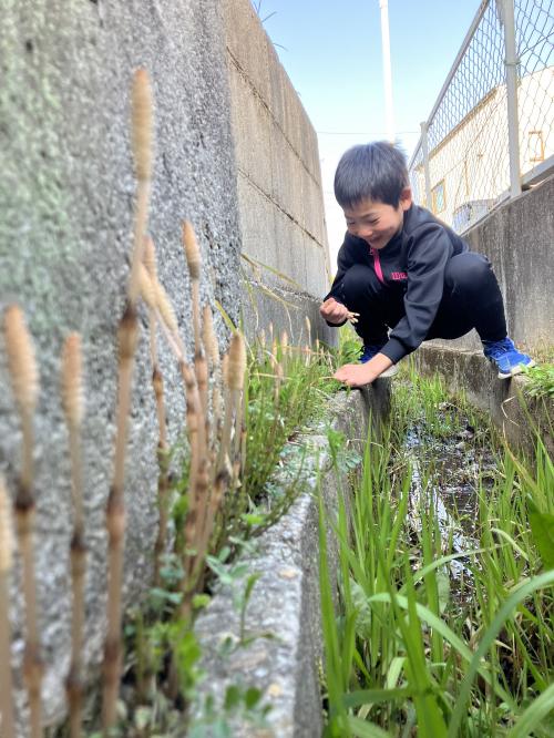 河内長野には春がいっぱい！