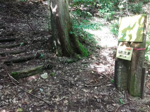 落枝注意看板