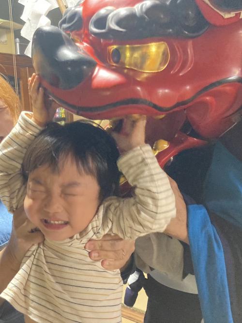 ちょっと噛んでもらおか